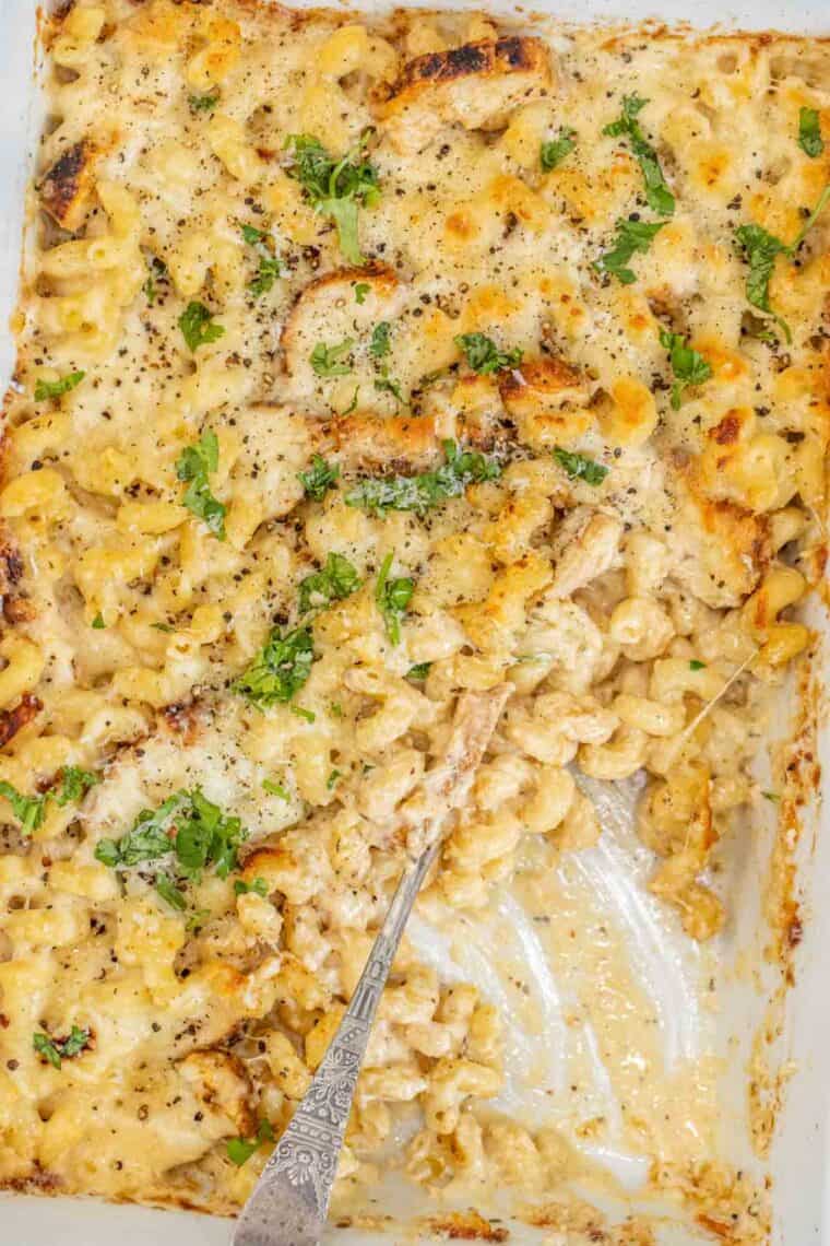 White casserole dish loaded with creamy chicken alfredo bake topped with fresh greens. 