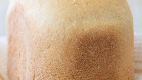 regal bread maker recipe
