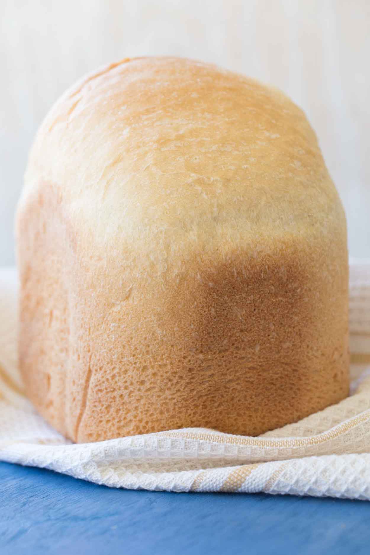 bread maker manual