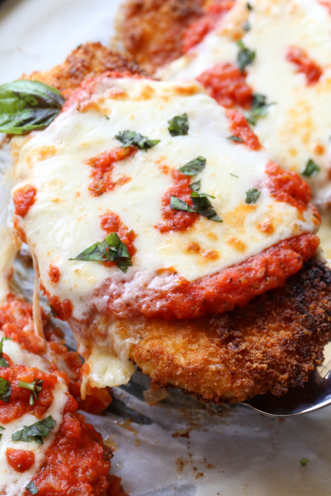 Close up of a chicken parmesan topped with cheese fresh basil. 