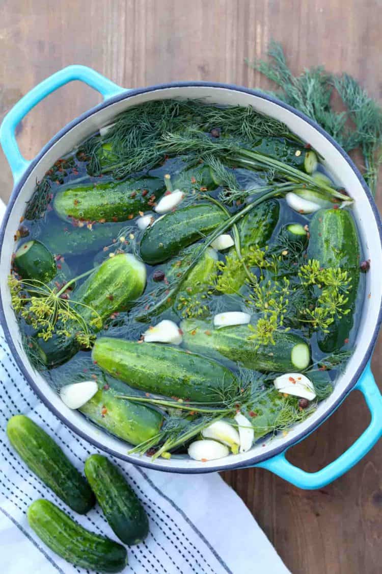 Refrigerator pickles in a bowl with cucumbers and dill on the side.