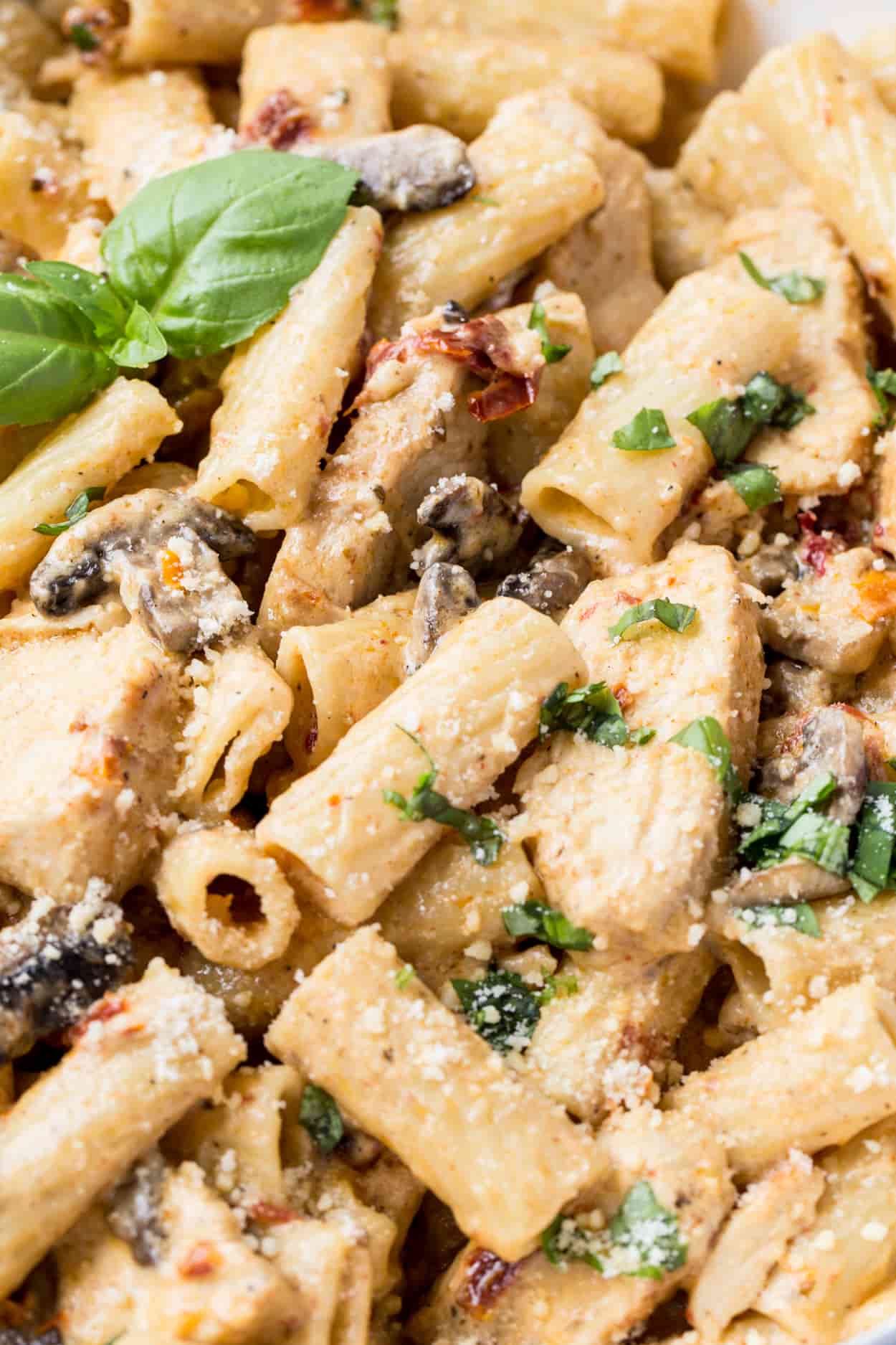 Up close picture of chicken pasta with mushrooms and sun dried tomatoes, chopped cilantro, and fresh grated Parmesan.