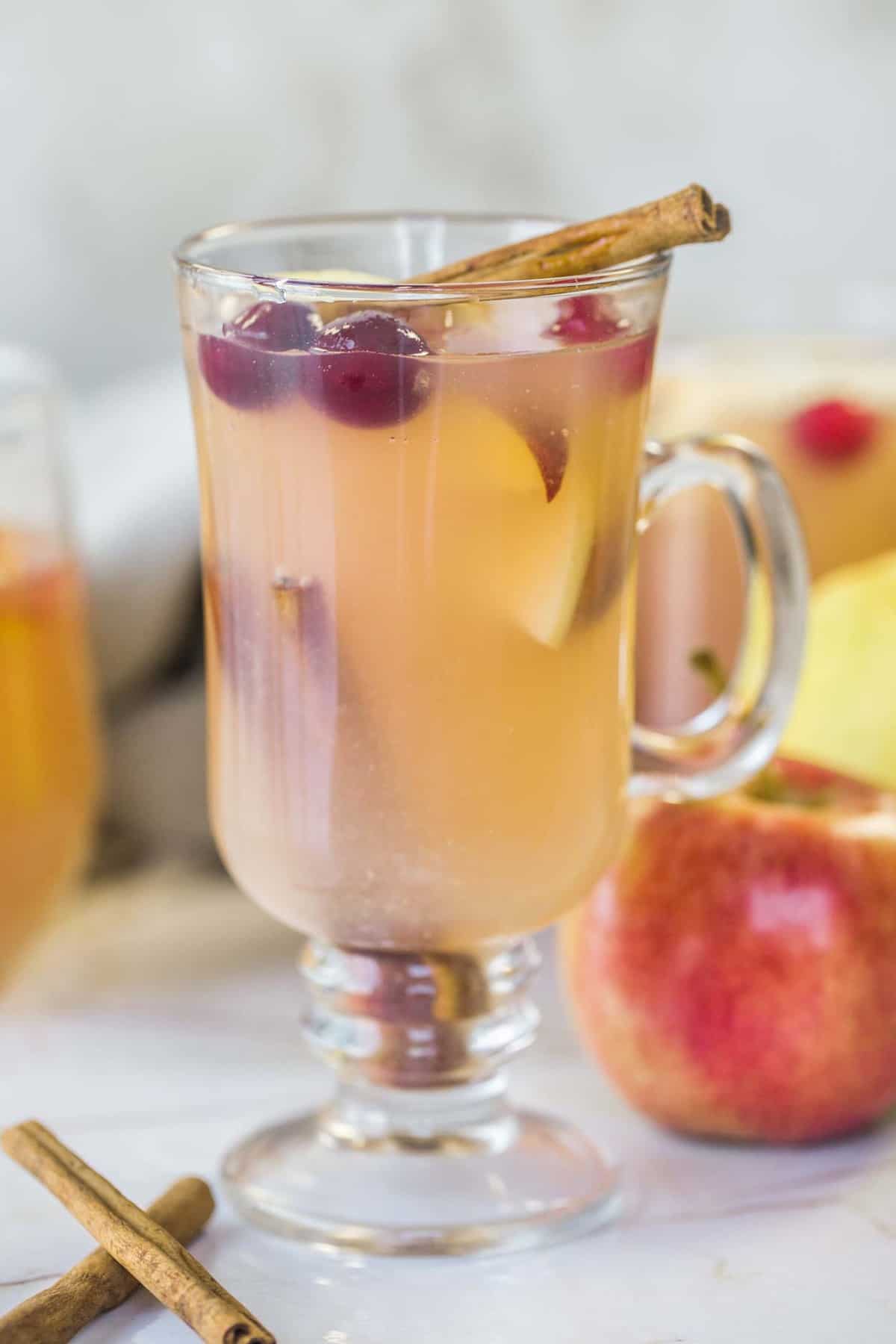 Apple cider in a cup with apples slices and cranberries.