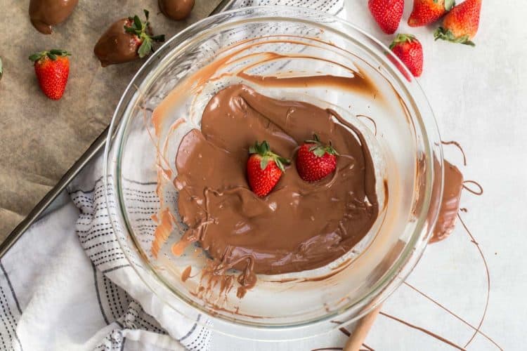 Two strawberries in a bowl of melted milk chocolate next to fresh strawberries and a chocolate covered spatula.