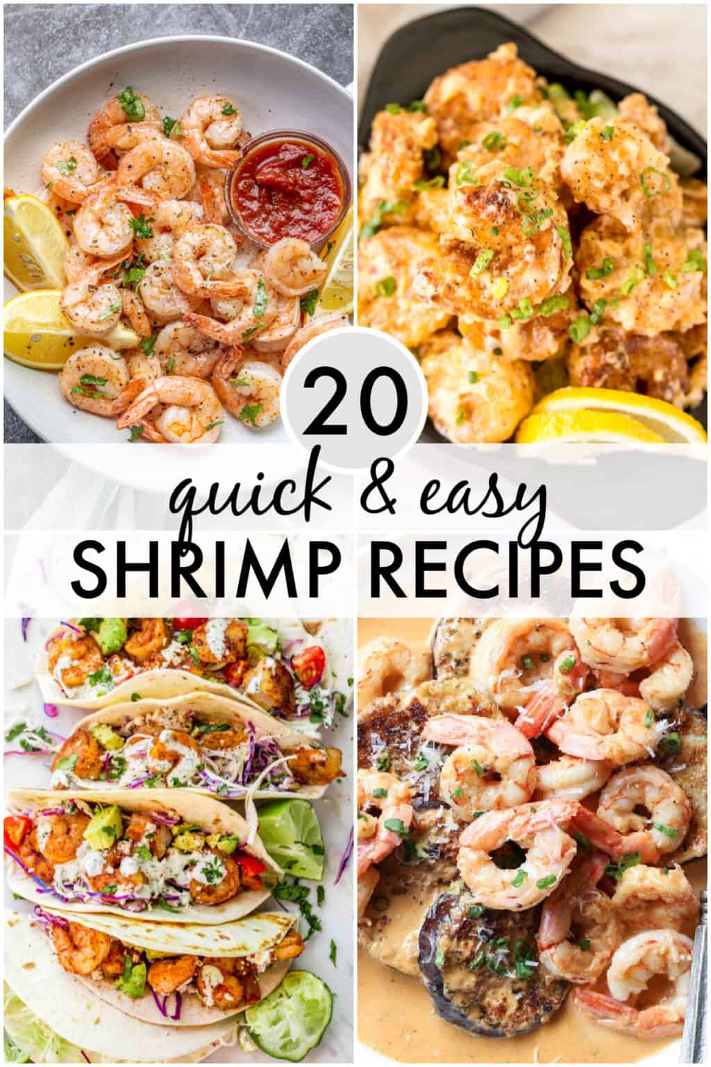 20 Easy Shrimp Recipes - Valentina's Corner