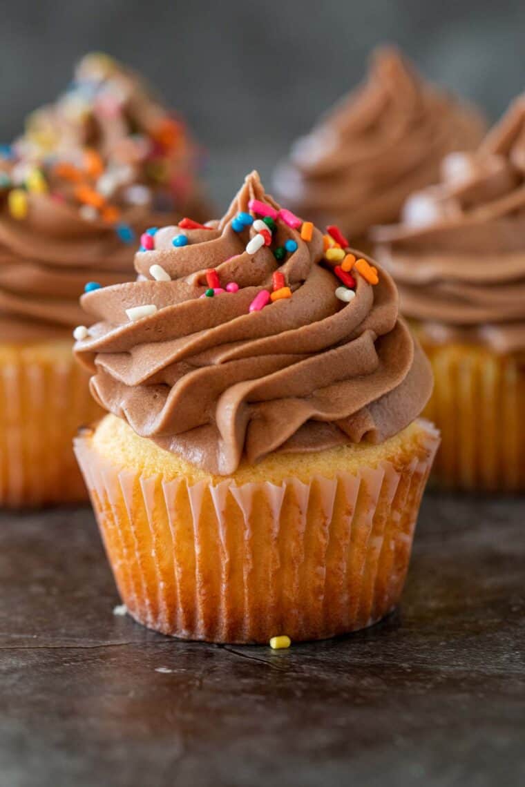 Chocolate buttercream frosting piped onto cupcakes topped with sprinkles.