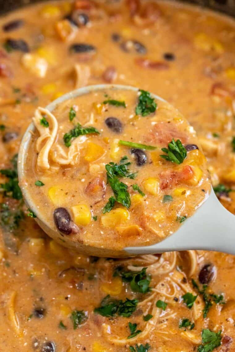 A ladle full of chicken enchilada soup topped with fresh greens. 