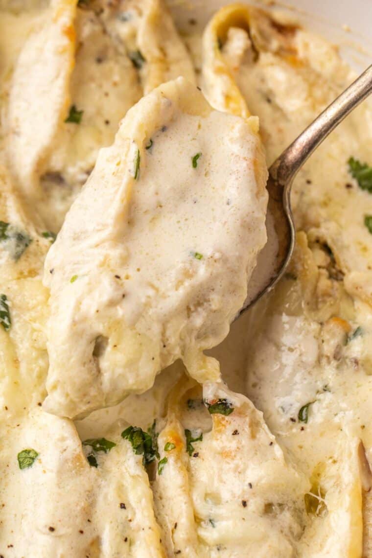 A spoon of stuffed shells with alfredo sauce. 