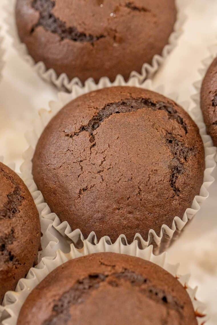 Chocolate cupcakes in muffin liners. 