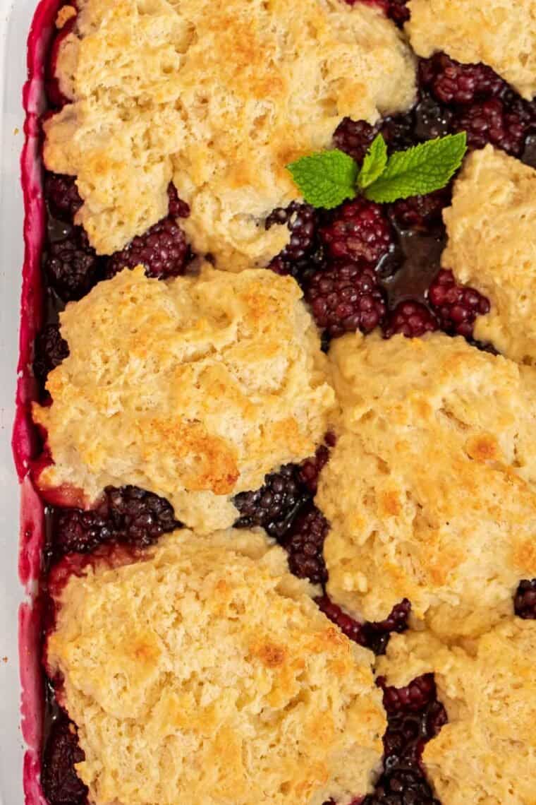 Blackberry cobbler in a white baking dish topped with golden biscuits. 