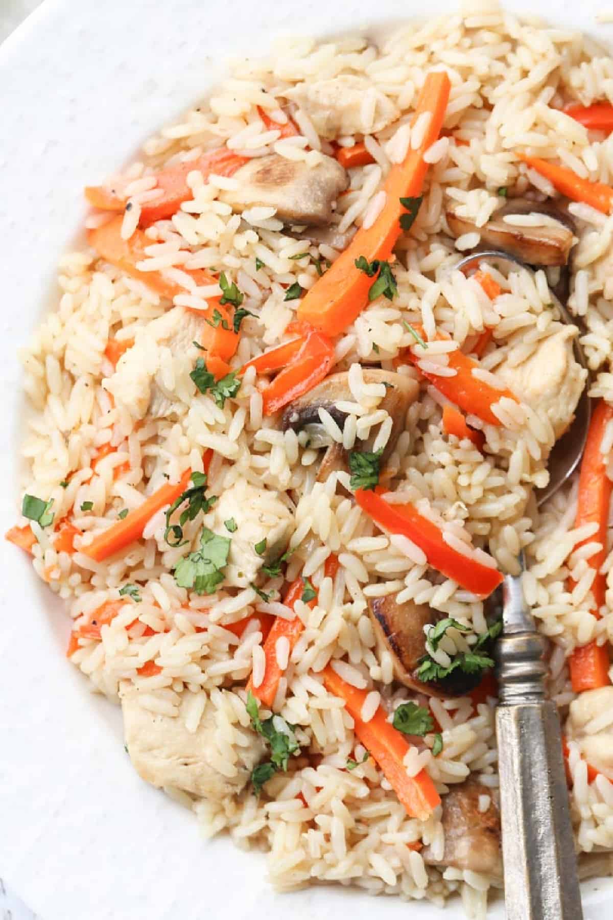 Close up image of chicken and rice in a serving plate with a fork.