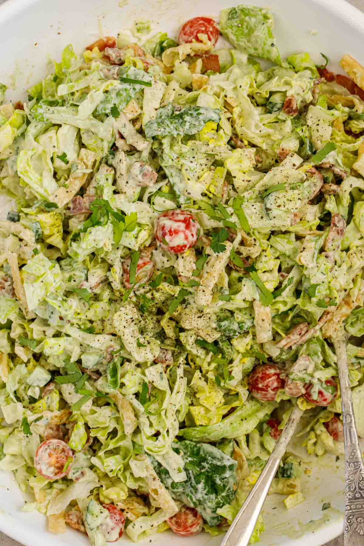 Close up of mixed chopped salad.