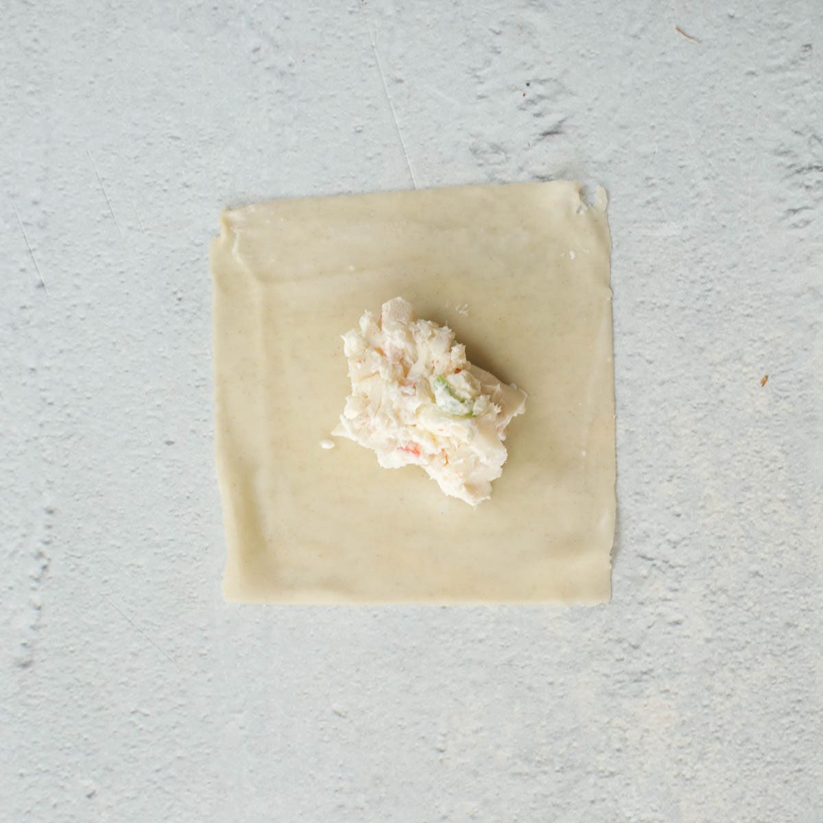 The wonton wrapper with the filling in the center. 