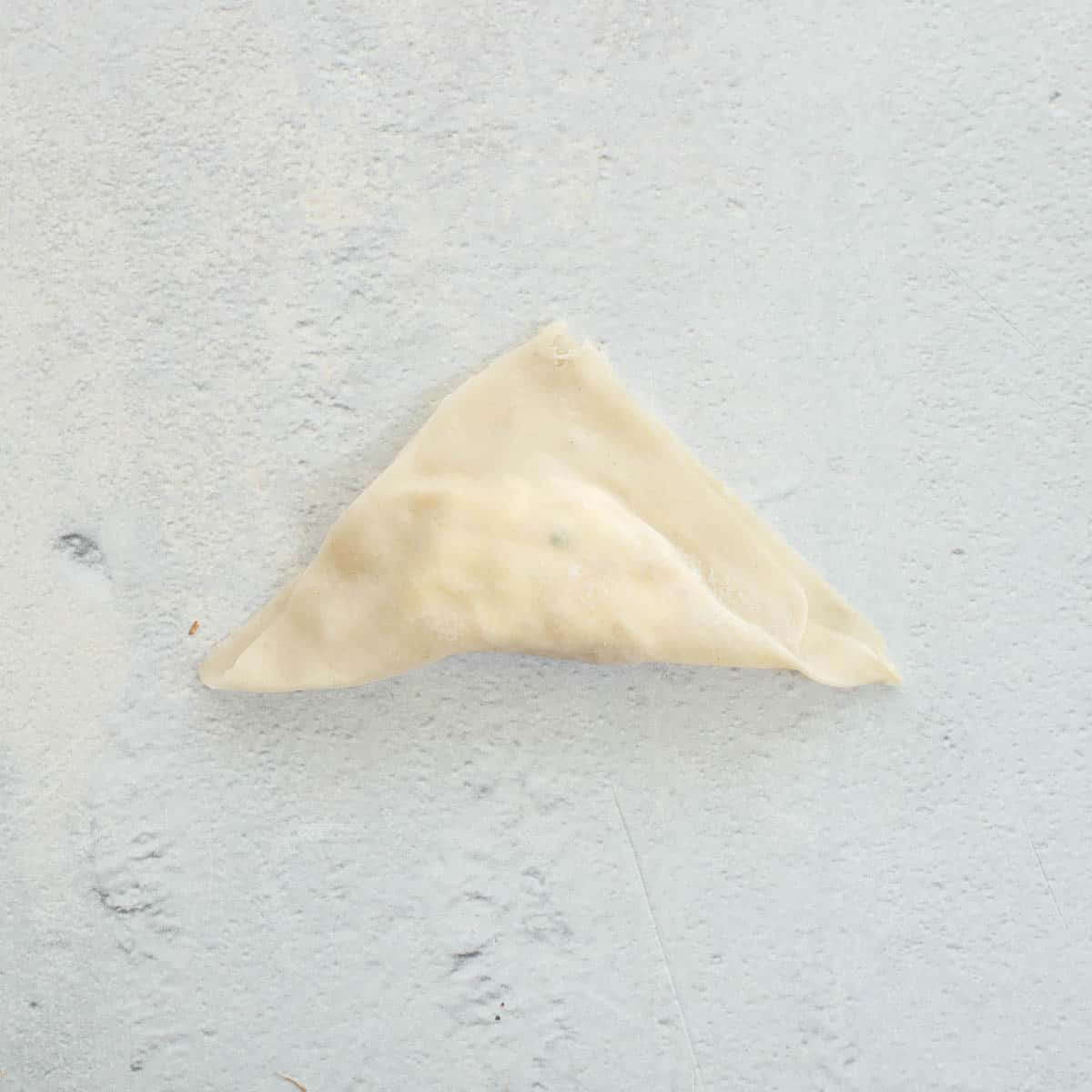 The Wonton folded over with a crab rangoon filling. 