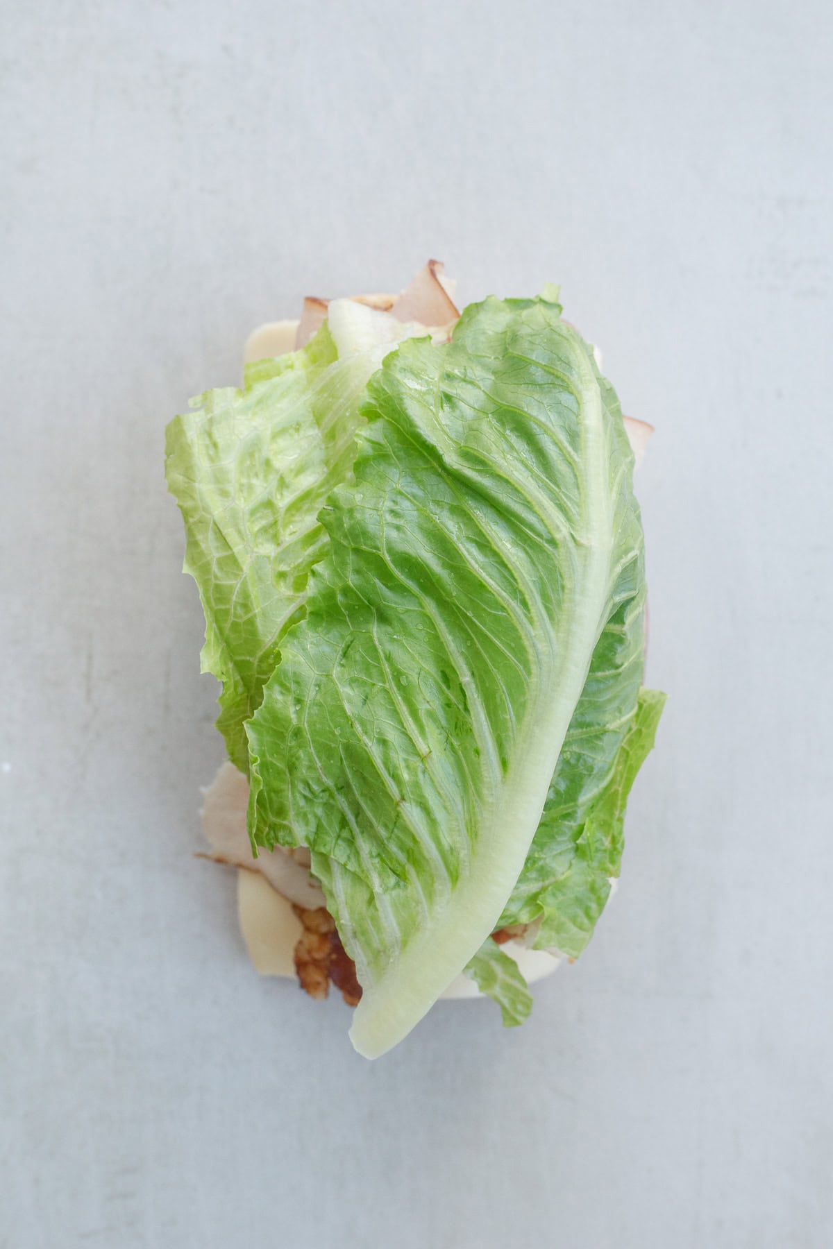 You don't have to go to a fancy lunch restaurant to get an incredible turkey sandwich. This turkey sandwich recipe makes a sandwich worthy of your lunch. The sandwich topped with lettuce leaves.