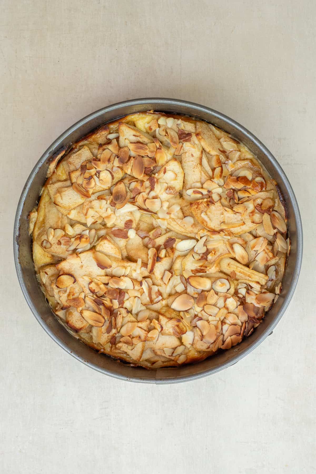 This Bavarian apple torte recipe combines a soft shortbread crust with creamy cheesecake filling and sweet apples baked to perfection. A cozy homemade dessert packed with rich flavor and texture. The baked apple torte with crisp almonds on top.