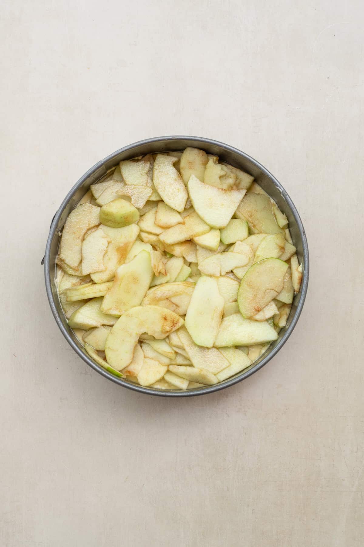 This easy Bavarian apple torte recipe is loaded with tender apples, buttery crust, and creamy filling for the perfect elegant dessert. A beautiful treat that tastes even better the next day. The apple torte topped with cinnamon apple slices.