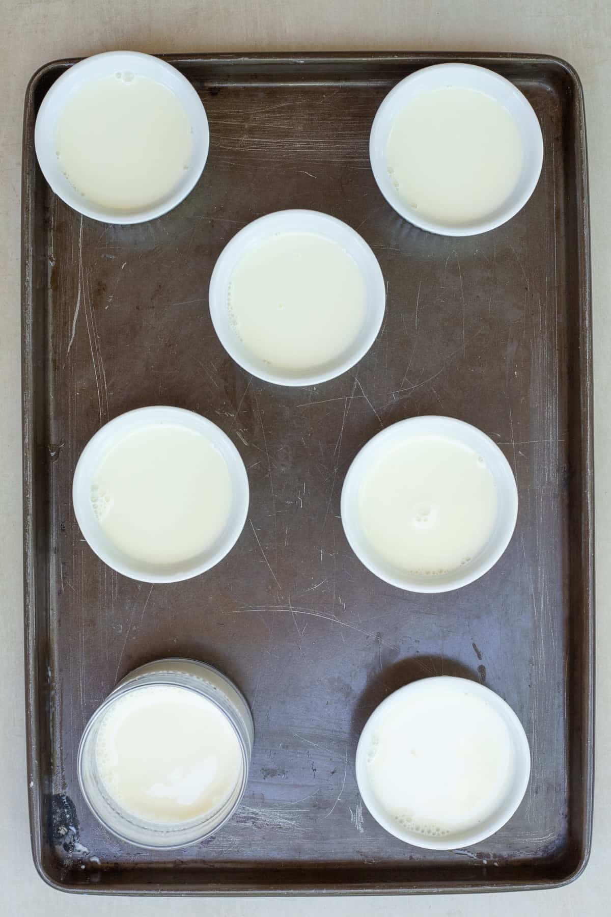 Rich and Creamy Panna Cotta The greased serving dishes, filled with panna cotta mixture.