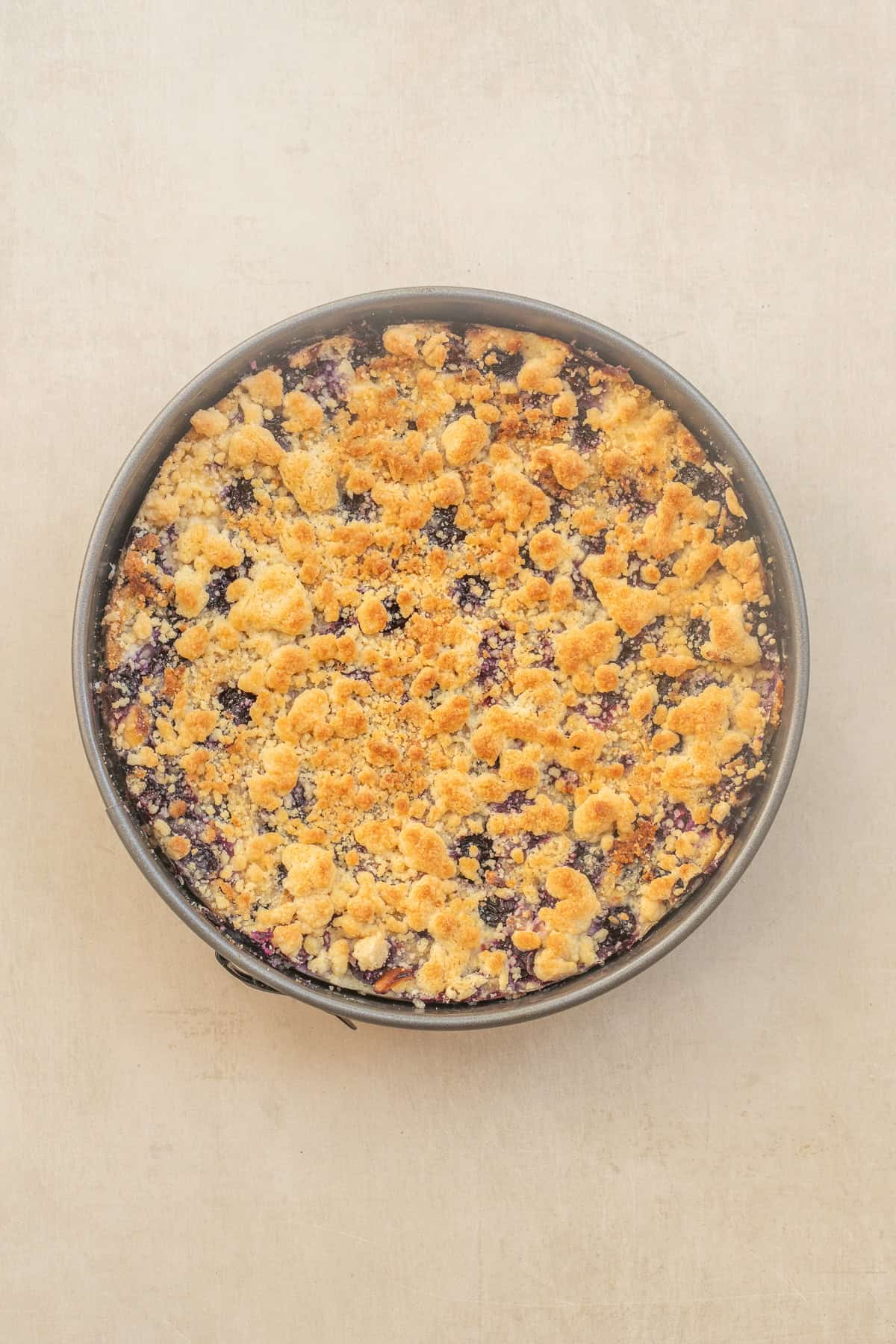Freshly baked blueberry crumble cheesecake ready to chill before serving. The baked blueberry cheesecake is cooling in the pan.