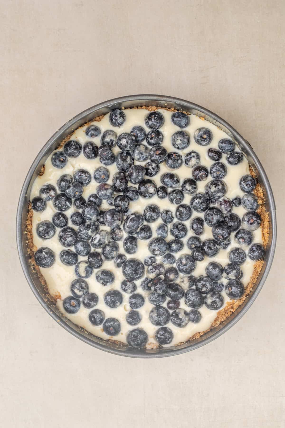 Close-up of a slice of blueberry crumble cheesecake served on a dessert plate. The baking pan with the layered of graham cracker crust, cheesecake, and blueberries.