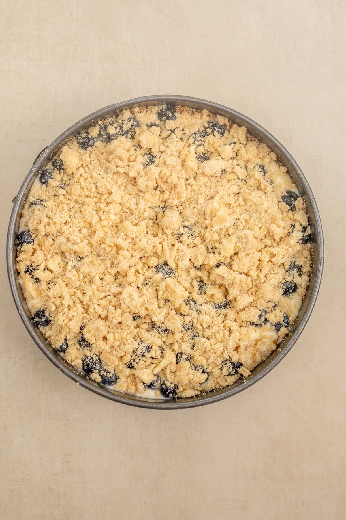Homemade blueberry cheesecake with a crunchy, buttery streusel topping. The crumble on top of the cheesecake.