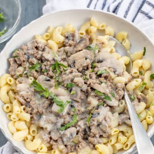 A bowl with egg noodles topped with creamy ground beef stroganoff.